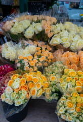 Many roses in bouquets for sale in floral boutique shop in France