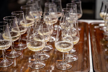 Many small tasting glasses of sparkling wine champagne on winter festival in December, Avenue de Champagne, Epernay, Champagne region, France