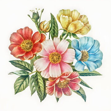 colorful drawing of a flower