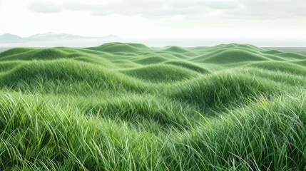 Zelfklevend Fotobehang Savanna grass field rows, 3D rendered on white, endless green waves, serene nature pattern, for clean integration, AI Generative © sorapop