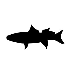 Fish Silhouette