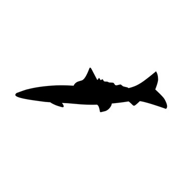 recommend clip art: Fish Silhouette
