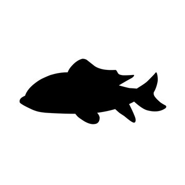 recommend clip art: Fish Silhouette