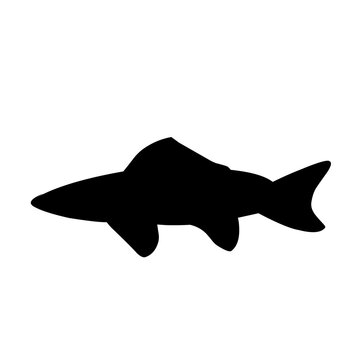 recommend clip art: Fish Silhouette