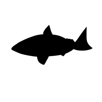 recommend clip art: Fish Silhouette