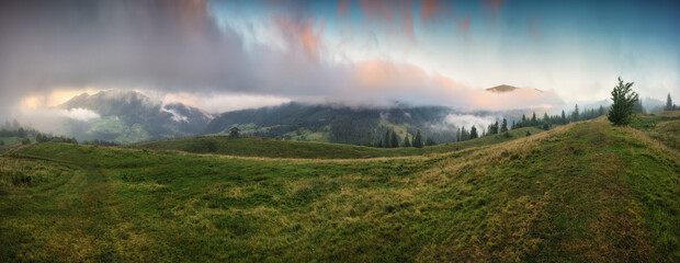 Foggy morning in the mountains. Summer dawn in the Carpathians. Nature of Ukraine - obrazy, fototapety, plakaty