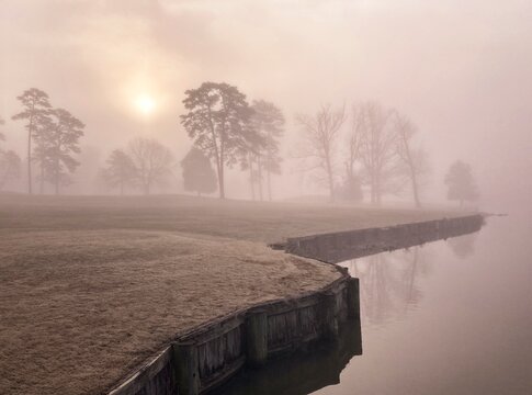 Foggy Morning 