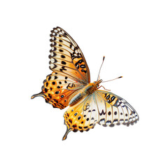 Fototapeta na wymiar a side view of a very beautiful butterfly on a white background PNG