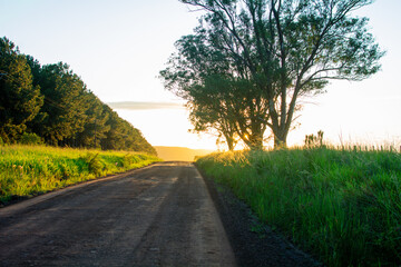 amanecer en el campo, calle de tierra del interior de Misiones