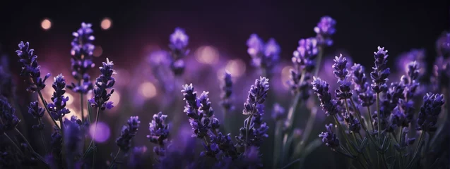 Fotobehang Dreamy lavender bokeh adorning a defocused midnight purple background - an enchanting banner. © xKas