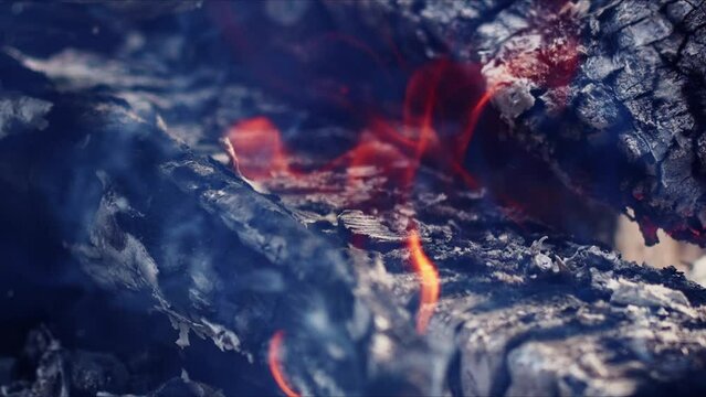 Abstract Oak Wood Bonfire in Flames Smoke and Ashes