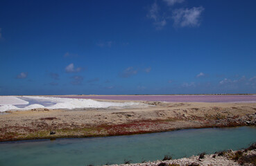 White and pink salt water ponds for sea salt production under blue skys, Bonaire, Caribbean Netherlands
