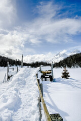 St. Moritz, Stazersee, Lej da Staz, Holzsteg, Stazerwald, Bergsee, Winter, Winterwanderweg, Oberengadin, Piz Julier, Piz Albana, Alpen, Graubünden, Schweiz