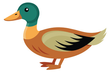 A colorful Duck vector illustration
