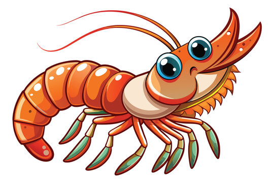 A cute cartoon shrimp vector Illustration
