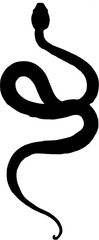Silhouette of a snake