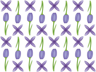 A seamless pattern of tulip and lilac PNG transparent background in a hand-drawn gradient color spring floral concept, illustration