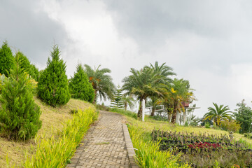 Fototapeta premium Landscape garden and mountain Bandungan Semarang Central Java.