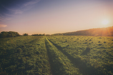 Obraz premium Sunset or sunrise in a spring field with green grass, willows and a clear sky. Springtime landscape. Vintage film aesthetic.