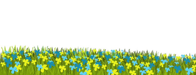 banner con prato verde fiorito