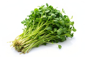 a bunch of watercress isolated on white background