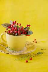 Yellow cup on a saucer with a sprig of red berries on a yellow background, minimalism, close up,  blank space for text, still life photography.