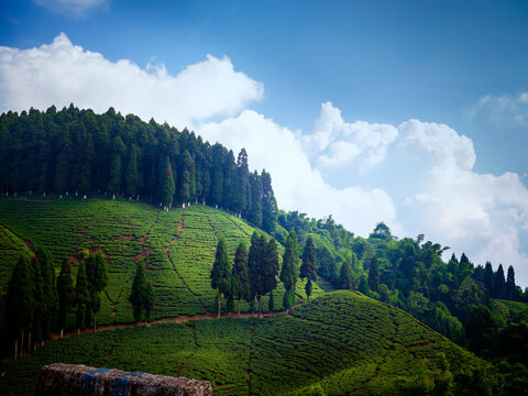 landscape with clouds with lush green hills in the foreground