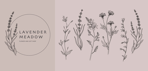 Hand drawn flowers. Minimal herb plant logo, floral branch frame or leaf icon, vintage rustic greenery. Lavender meadow botanical logotype design. Vector outline abstract rustic decoration © SpicyTruffel