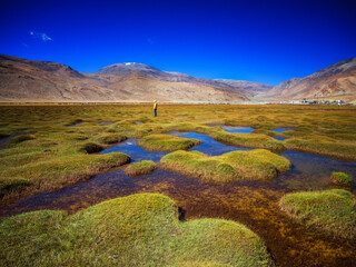 Puga valley in Ladakh, India