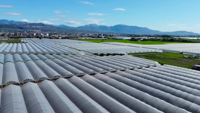 Aerial view, parallax. Agriculture. Sele plain, hundreds of greenhouses. Sustainability and green energy concept.