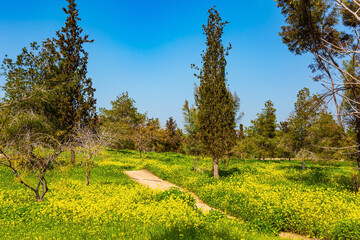 Magnificent spring in Kibbutz Beeri