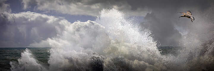 Powerful Wave Crashing in Stormy Ocean with Bird in Flight