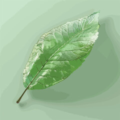 Green eco leaf icon
