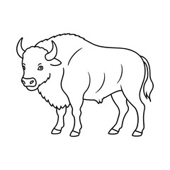 Bison illustration coloring page for kids