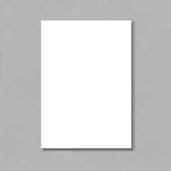 a4 page mockup background