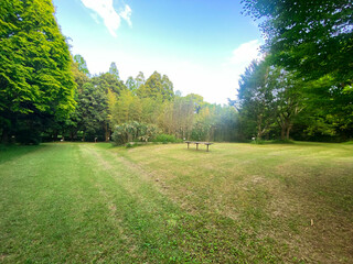 Obraz premium Morning Walk in the Greenery at Tsukuba - Tennodai, Japan