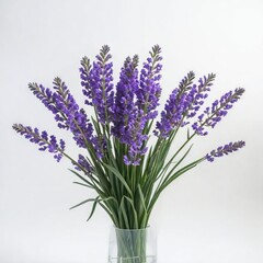 Fototapeta premium bunch of lavender flower