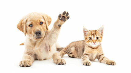 An adorable puppy and kitten look up, with the puppy raising its paw.