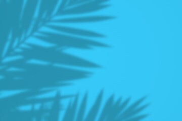 Minimal summer concept blue background with palm leaves leaf shadow effect. Nature concept. Flat...