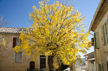 Automne Alpes de Hautes Provence Banon