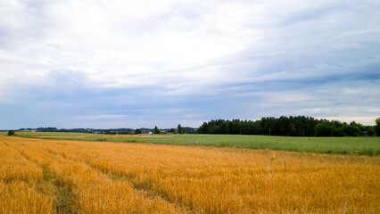 Countryside in northern Poland Kashubia. - obrazy, fototapety, plakaty