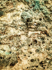 Coastal rocks and sea water as a natural background.
