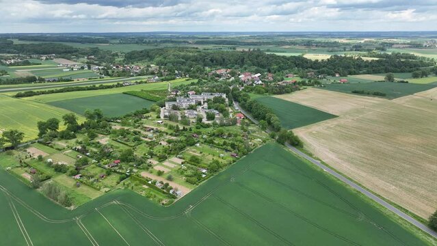 Aerial drone view of heart-shaped  forest surrounded byg reen blooming  field in Poland. Trees of love, Heart made of trees in Skarszyn.
Summer agricultural green fields in the countryside heart shape