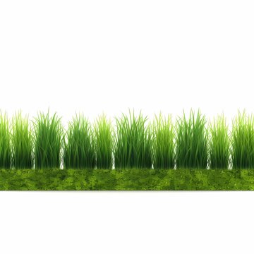 Collection of green grass borders, seamless horizontally, isolated on white background.