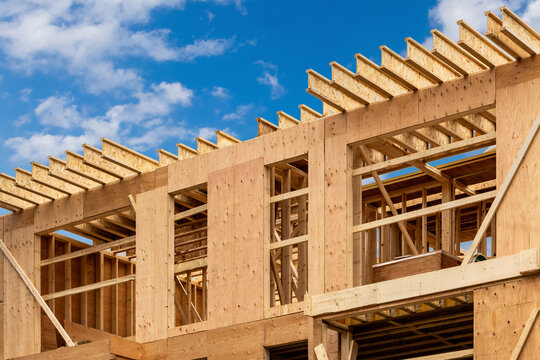 Plywood sheathing and engineered wood joists or rafters forming the roof of a house under construction