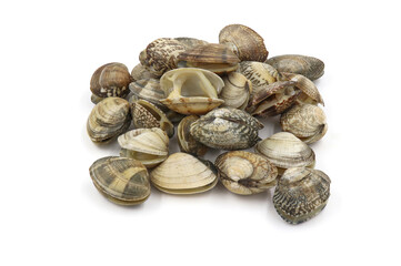 Closed up fresh baby clams, venus shell, shellfish, carpet clams, short necked clams, as raw food from the sea are the seafood ingredients. fresh clams Background.