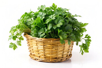 Naklejka premium fresh herbs in basket isolated on white