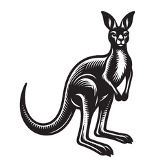 Kangaroo.  Old vintage engraving illustration. Hand drawn outline graphic. Logo, emblem, icon. Isolated object, cut out. black and white	