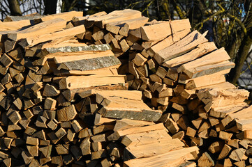 Beech firewood