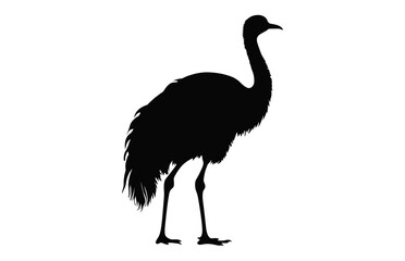 Emu Silhouette isolated on a white background, A Ostrich emu black silhouette, Australian Emu Bird Vector